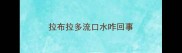 拉布拉多流口水咋回事