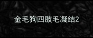 金毛狗四肢毛凝结