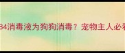 如何安全使用84消毒液为狗狗消毒宠物主人必看的消毒指南