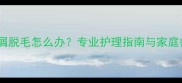 狗狗皮屑脱毛怎么办专业护理指南与家庭疗法全