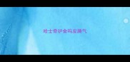 哈士奇护食吗发脾气