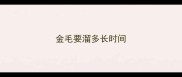金毛要溜多长时间