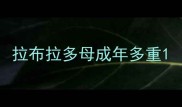 拉布拉多母成年多重