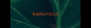 泰迪狗总叫怎么办