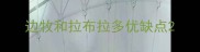 边牧和拉布拉多优缺点
