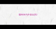猫咪体内外驱虫药
