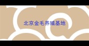 北京金毛养殖基地