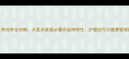 哈士奇饲养全攻略大型犬家庭必看的品种特性护理技巧与健康管理指南