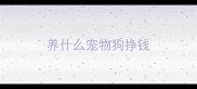 养什么宠物狗挣钱