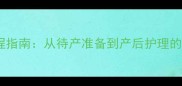 猫咪生育全流程指南从待产准备到产后护理的12个关键要点
