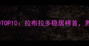美国最受欢迎犬种TOP10拉布拉多稳居榜首养护指南与选购全