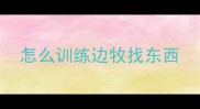 怎么训练边牧找东西