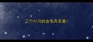 三个半月的金毛有多重