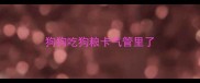 狗狗吃狗粮卡气管里了