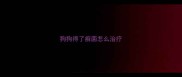 狗狗得了癣菌怎么治疗