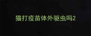 猫打疫苗体外驱虫吗