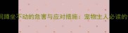 狗狗长时间蹲坐不动的危害与应对措施宠物主人必读的健康指南
