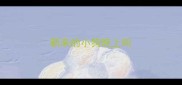 新来的小狗晚上叫