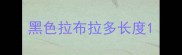 黑色拉布拉多长度
