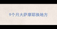 9个月大萨摩耶换地方