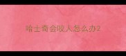 哈士奇会咬人怎么办
