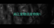 吴江宠物店宠物狗