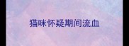 猫咪怀疑期间流血