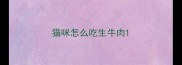猫咪怎么吃生牛肉