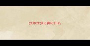 拉布拉多比赛比什么