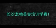 长沙宠物美容培训学费