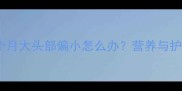 吉娃娃两个月大头部偏小怎么办营养与护理全攻略