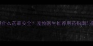 狗狗跳蚤用什么药最安全宠物医生推荐用药指南与防复发攻略