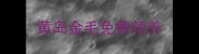 黄岛金毛免费领养