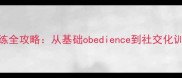 4个月萨摩耶训练全攻略从基础obedience到社交化训练的详细步骤