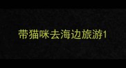 带猫咪去海边旅游