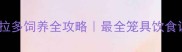 纯黑拉布拉多饲养全攻略最全笼具饮食训练指南