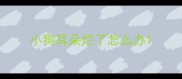 小狗耳朵烂了怎么办