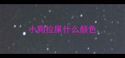 小狗拉屎什么颜色