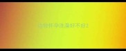 边牧怀孕洗澡好不好