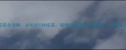 狗狗年度疫苗全攻略必知的5种疫苗接种时间表及注意事项附疫苗知识图谱