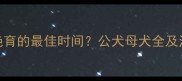 哈士奇绝育的最佳时间公犬母犬全及注意事项
