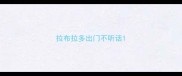 拉布拉多出门不听话