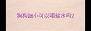狗狗细小可以喝盐水吗