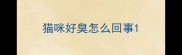 猫咪好臭怎么回事