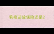 狗疫苗放保险还是