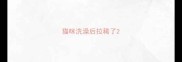猫咪洗澡后拉稀了