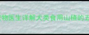 哈士奇能不能吃山楂宠物医生详解犬类食用山楂的五大风险与安全食用指南