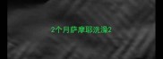 2个月萨摩耶洗澡