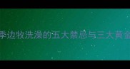 冬季边牧洗澡的五大禁忌与三大黄金法则