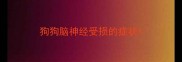狗狗脑神经受损的症状